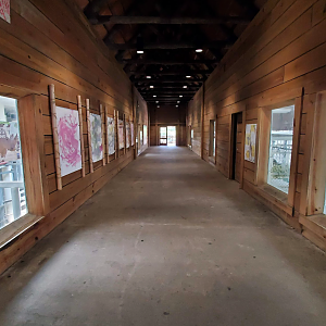 Jul. 2020 - Africa: Okavango Delta - White Rhino/GIraffe Stall Viewing