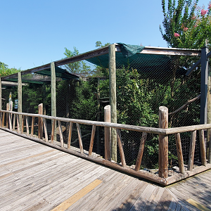 Jul. 2020 - Asia: Trail of the Tiger - Rhinoceros Hornbill Exhibit