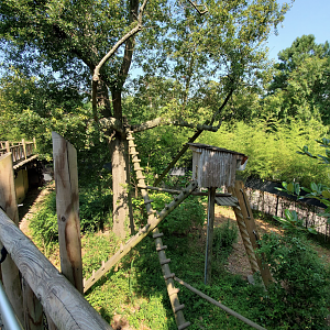 Jul. 2020 - Asia: Trail of the Tiger - Red Panda Exhibit