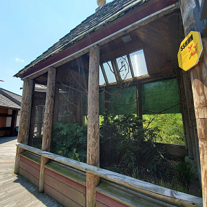 Jul. 2020 - Asia: Trail of the Tiger - White-crested Laughing Thrush Exhibit