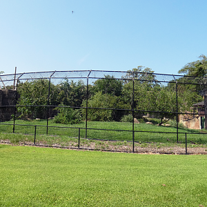 Jul. 2020 - Asia: Trail of the Tiger - Malayan Tiger Exhibit