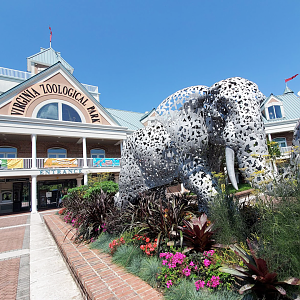 Jul. 2020 - Entrance