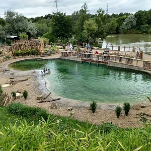 New African pinguin enclosure