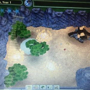 Big Cat Kingdom - African Lion Exhibit