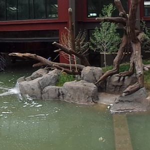 Water's Edge Africa -- Hippo Pool