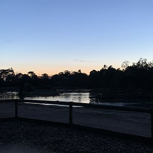 Sunset view of the wetland