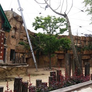 Savanna aviary - Bird and Cape buffalo house,  2020-05-24