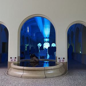 Entrance to the grand hall of the aquarium, 2020-05-24