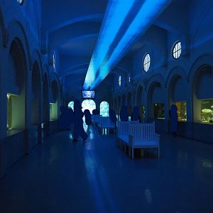 Grand hall of the aquarium, 2020-05-24