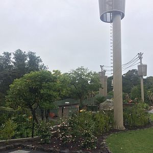 South East Asia Jungle Track High Ropes