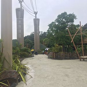 South East Asia Jungle Track Entrance