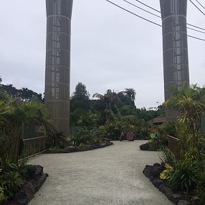 South East Asia Jungle Track High Ropes Connected