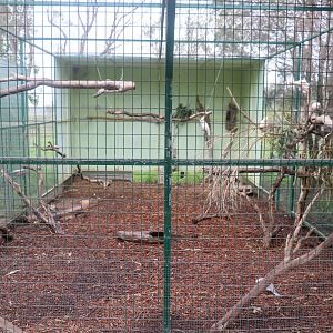 Cockatoo Aviary - February 2020