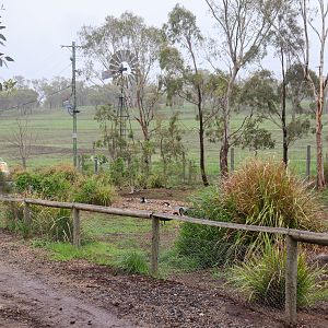 Waterbird Enclosure - February 2020