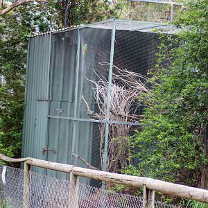 Australian Bird Aviary - February 2020