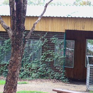 Tamarin Building - February 2020