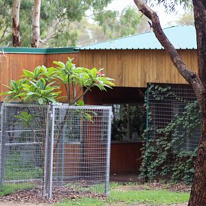 Tamarin Building - February 2020