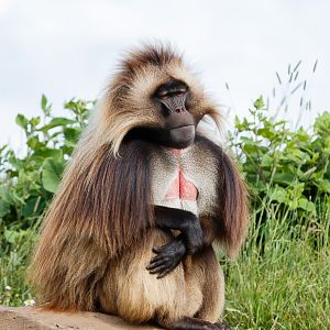 "Harry" the boss man