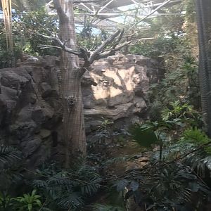 Tropics trail Asian forest aviary