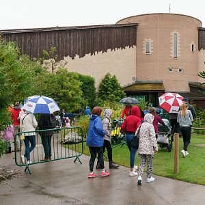 Jaguar House Queue - 07/07/2020