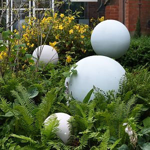 Weird balls near the Oakfield - 08/07/20