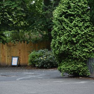 Blocked off path past old cheetah enclosure - 08/07/20