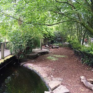 Bar-headed goose exhibit - Formerly the nutria exhibit, 2020-05-24