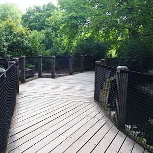 Visitor bridge over the bar-headed goose exhibit - Formerly the nutria exhibit, 2020-06-28
