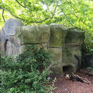 Mock rock structure - Bar-headed goose shack, 2020-06-28