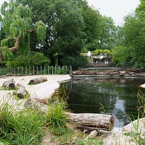 Part of the hippopotamus exhibit, 2020-05-24