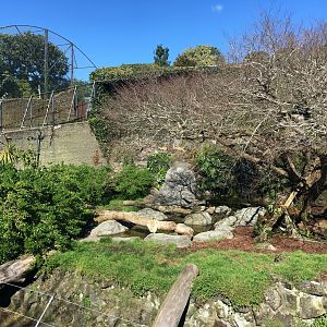 Sumatran Tiger Pit (1922-2018)