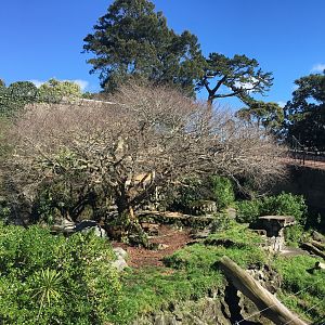 Sumatran Tiger Pit (1922-2018)