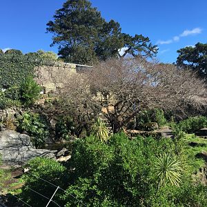 Sumatran Tiger Pit (1922-2018)
