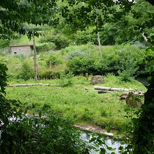 Small orangutan island, 9 July 2020