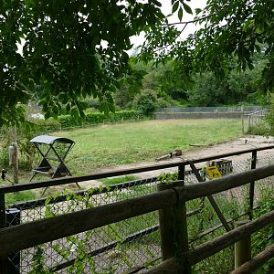 Former camel enclosure, 9 July 2020