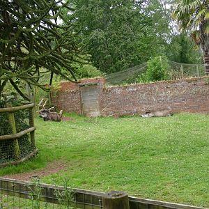 Brazilian Tapir enclosure, July 2020
