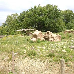 Gelada enclosure 290620
