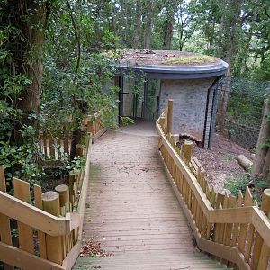 Bear Wood - European brown bear/Eurasian wolf enclosure 290620