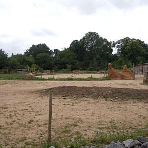 Benoue National Park enclosure 290620