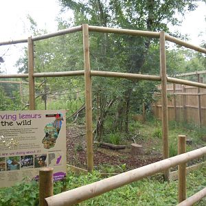 Discover Madagascar - Lemur enclosure 290620