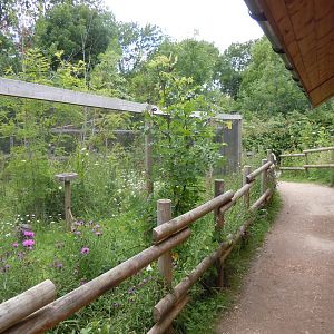 Discover Madagascar - Lac Alaotra gentle lemur enclosure 290620