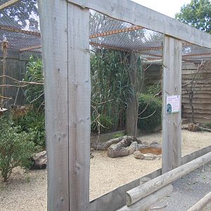 Walled Garden - Visayan tarictic hornbill aviary 290620