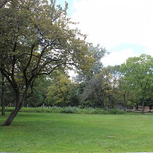 Problem Area - Empty Field