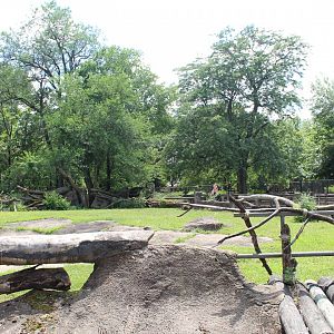 Problem Area - Former Hippo Pool