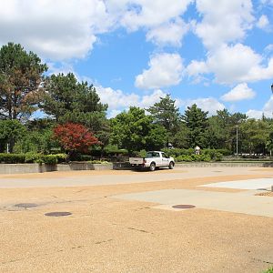Problem Area - Empty Pavilion