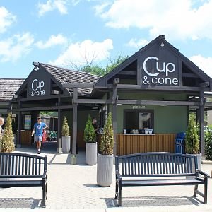 Cup & Cone (New in 2020)