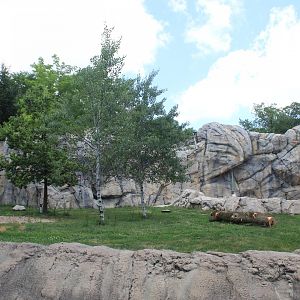 Great Bear Wilderness - Bear Exhibit 1