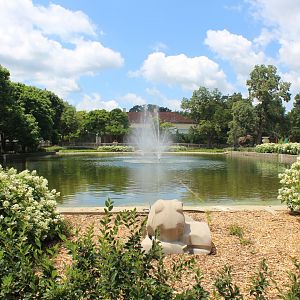 Formal Pool Overview