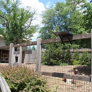 Hamil Family Wild Encounters - Llama & Alpaca Exhibit