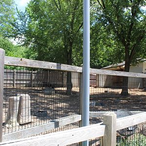 Hamil Family Wild Encounters - Reindeer Exhibit